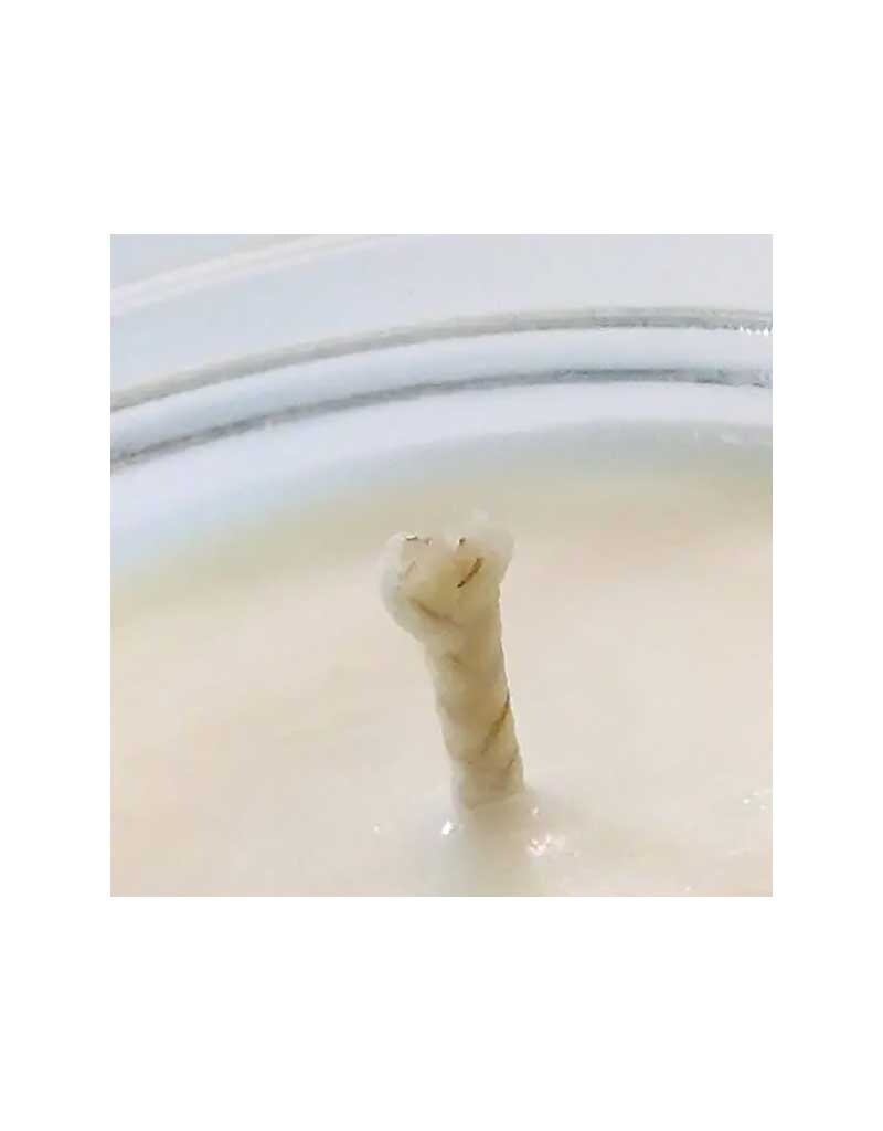 NOLA and Neighbors - Asshole Repellent Candle 8oz