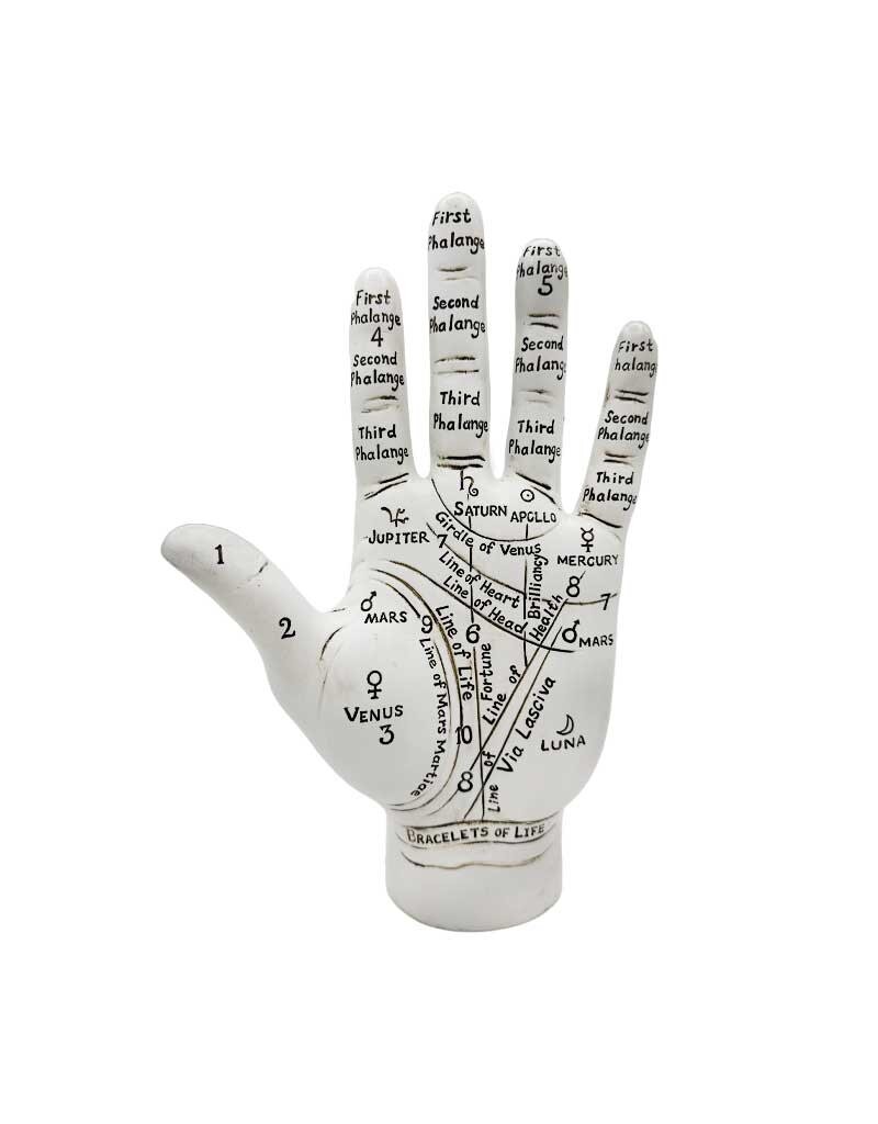 Big Palmistry Hand 10"