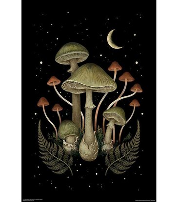 Death Cap Poster 24" x 36"