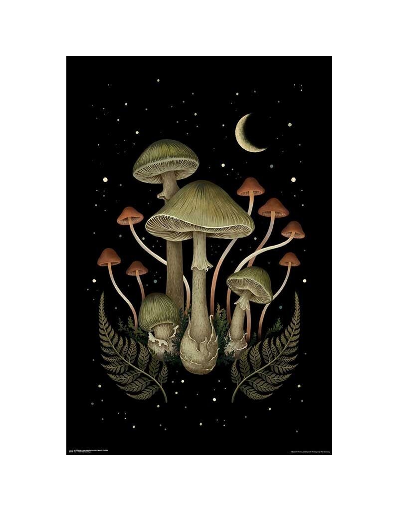 Death Cap Poster 24" x 36"