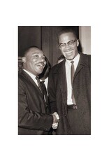 The Meeting - Malcolm X and MLK Poster 24"x36"