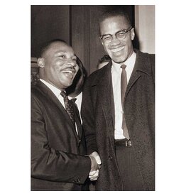 The Meeting - Malcolm X and MLK Poster 24"x36"