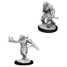 Wizkids D&D Unpainted Minis: Dragonborn Paladin Male
