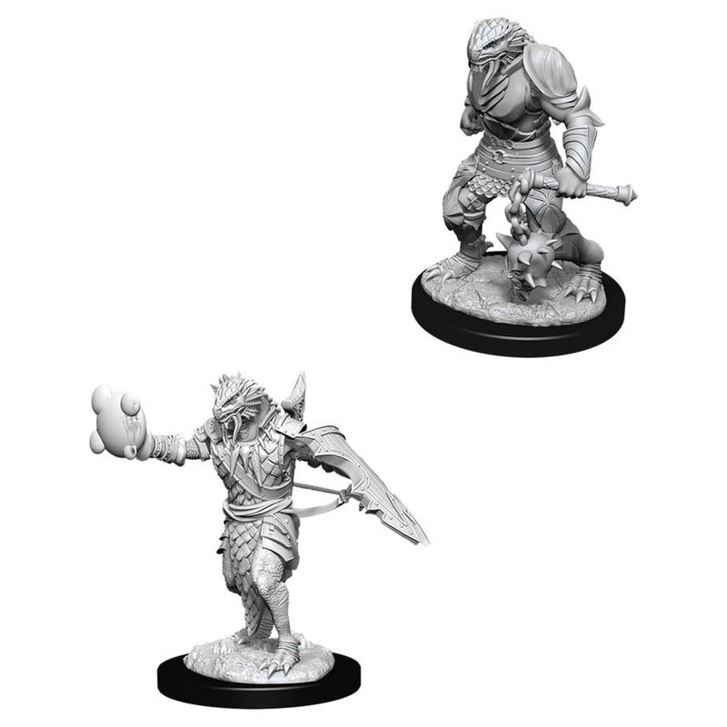 Wizkids D&D Unpainted Minis: Dragonborn Paladin Male