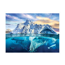 Eurographics Arctic Puzzle (1000 PCS)