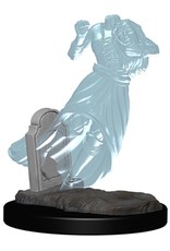 Wizkids D&D Unpainted Minis: Ghost  & Banshee