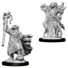 Wizkids D&D Unpainted Minis: Dragonborn Sorcerer Female