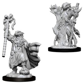 Wizkids D&D Unpainted Minis: Dragonborn Sorcerer Female