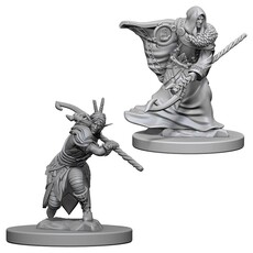 Wizkids D&D Unpainted Minis: Elf Druid Male