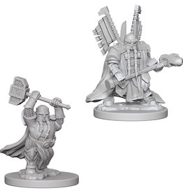 Wizkids D&D Unpainted Minis: Dwarf Male Paladin