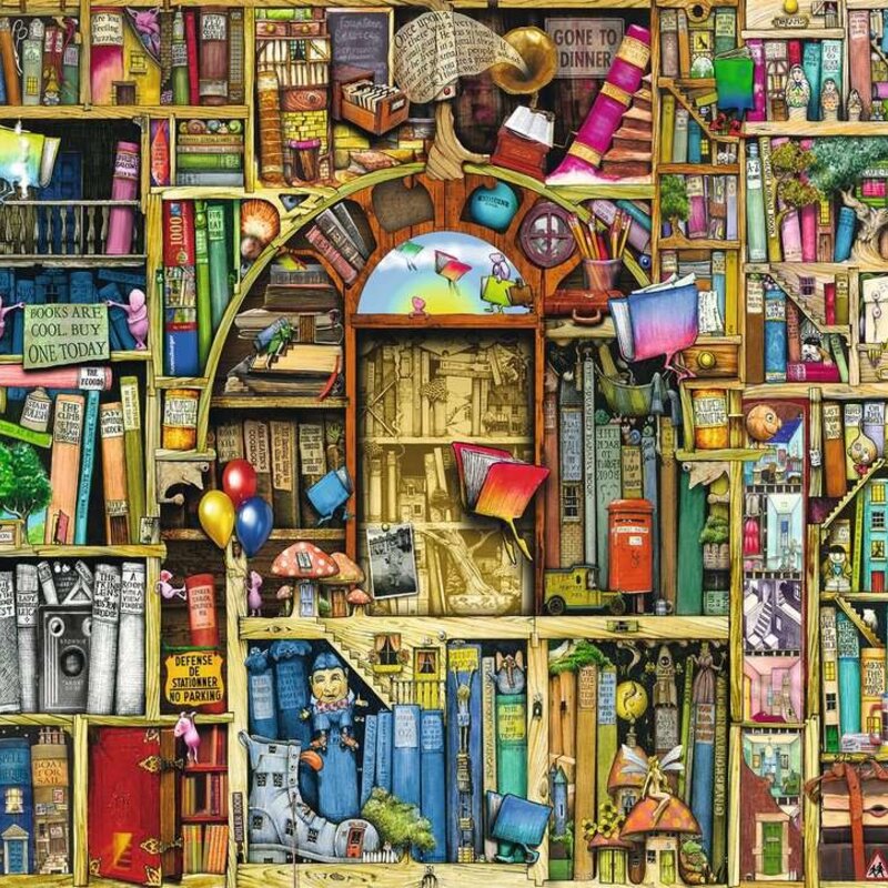Ravensburger Bizarre Bookshop 2 Puzzle (1000 PCS)