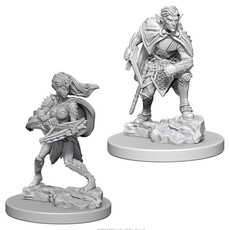 Wizkids D&D Unpainted Minis: Drow