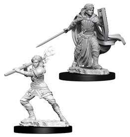 Wizkids D&D Unpainted Minis: Human Paladin Female