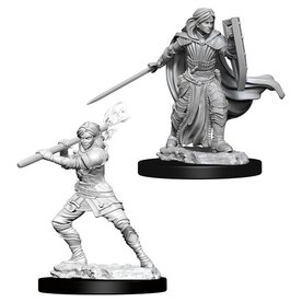 Wizkids D&D Unpainted Minis: Human Paladin Female