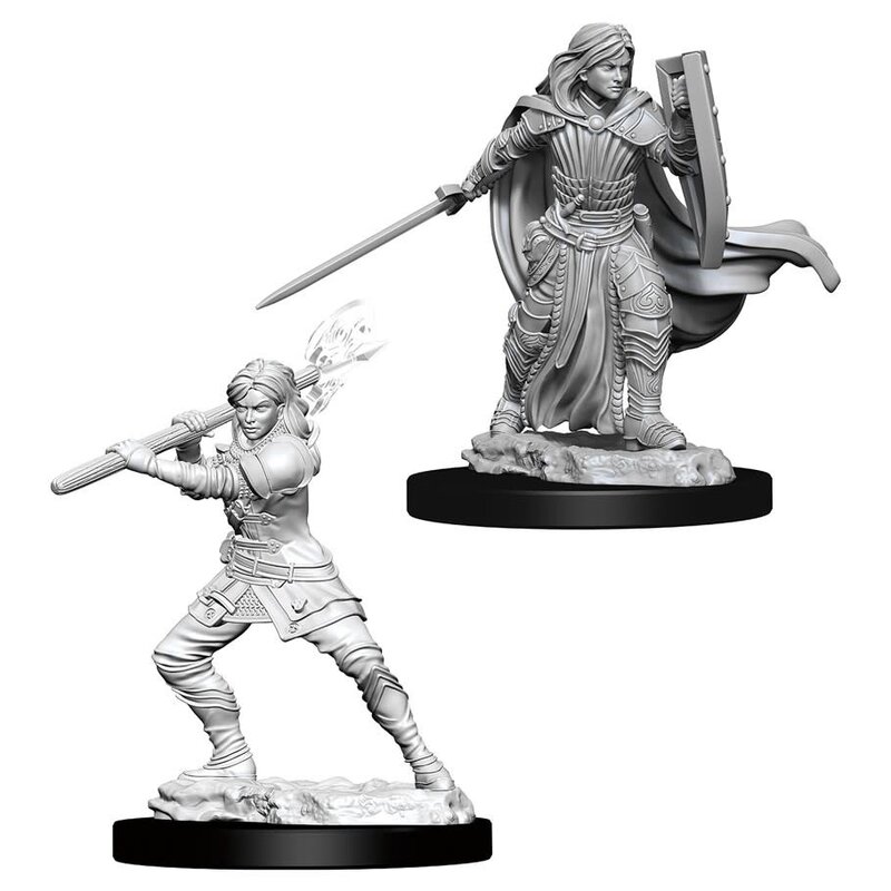 Wizkids D&D Unpainted Minis: Human Paladin Female