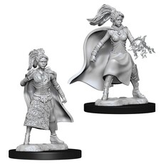 Wizkids D&D Unpainted Minis: Human Sorcerer Female