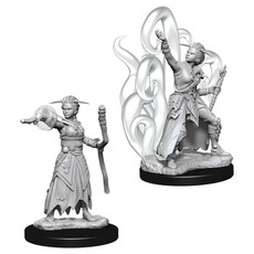 Wizkids D&D Unpainted Minis: Human Warlock Female