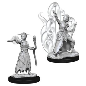Wizkids D&D Unpainted Minis: Human Warlock Female