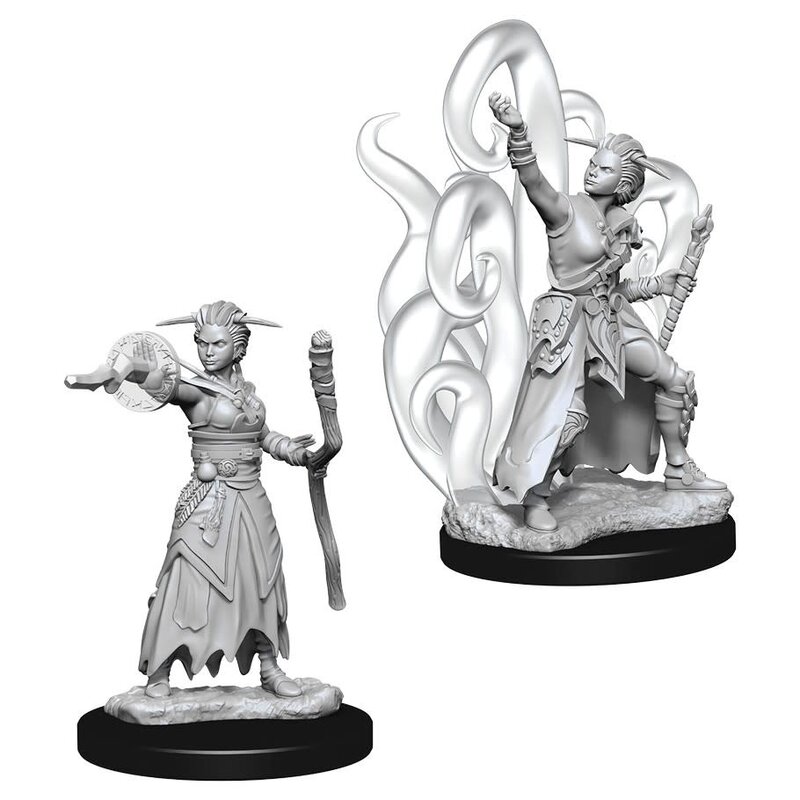 Wizkids D&D Unpainted Minis: Human Warlock Female