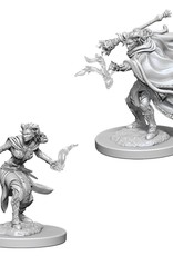 Wizkids D&D Unpainted Minis: Tiefling Warlock Female