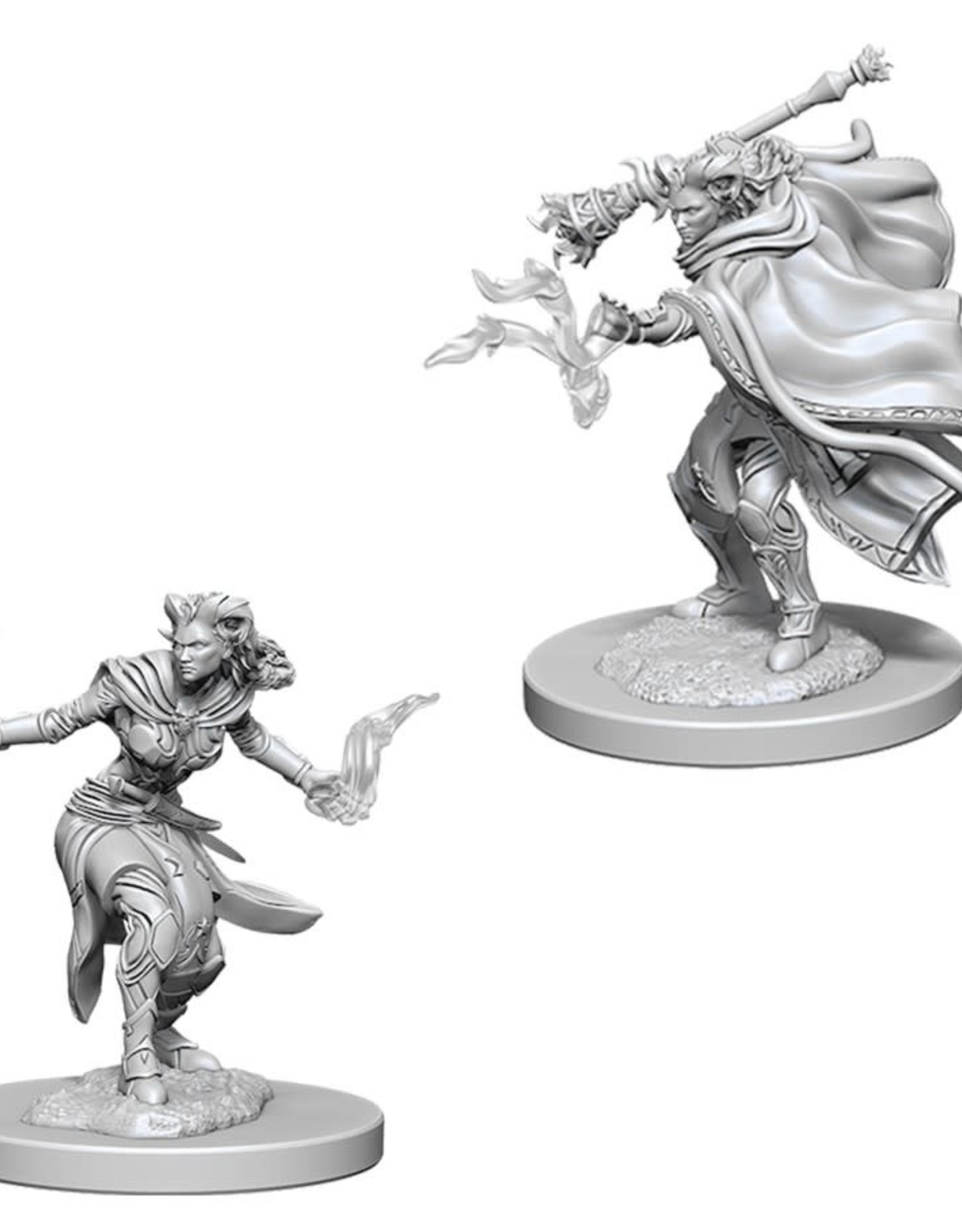 Wizkids D&D Unpainted Minis: Tiefling Warlock Female