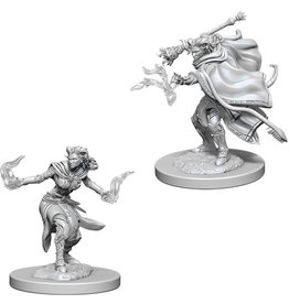 Wizkids D&D Unpainted Minis: Tiefling Warlock Female