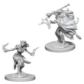 Wizkids D&D Unpainted Minis: Tiefling Warlock Female