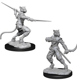 Wizkids D&D Unpainted Minis: Tabaxi Rogue Male