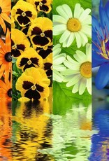 Ravensburger Floral Reflections Puzzle (500 PCS)