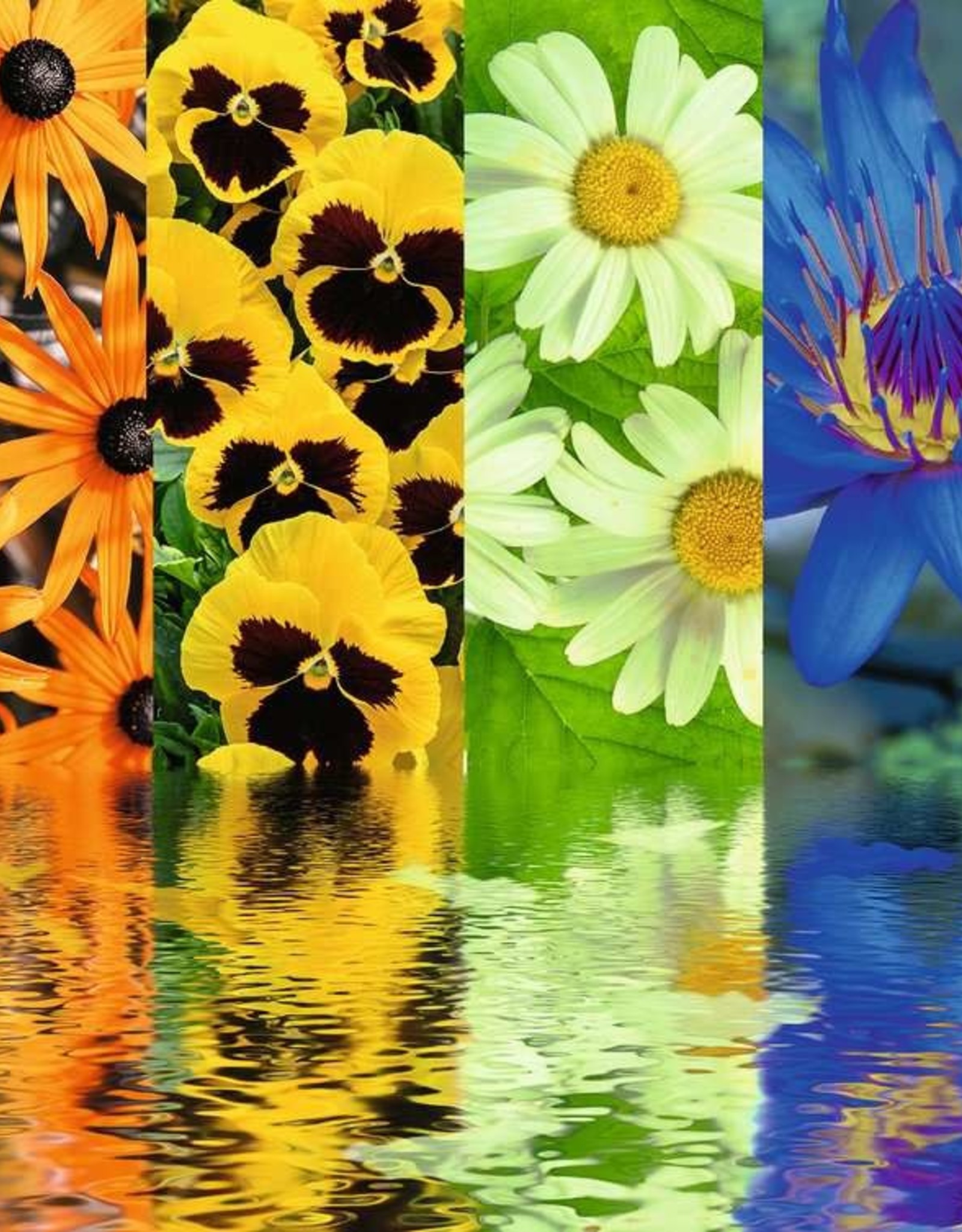 Ravensburger Floral Reflections Puzzle (500 PCS)