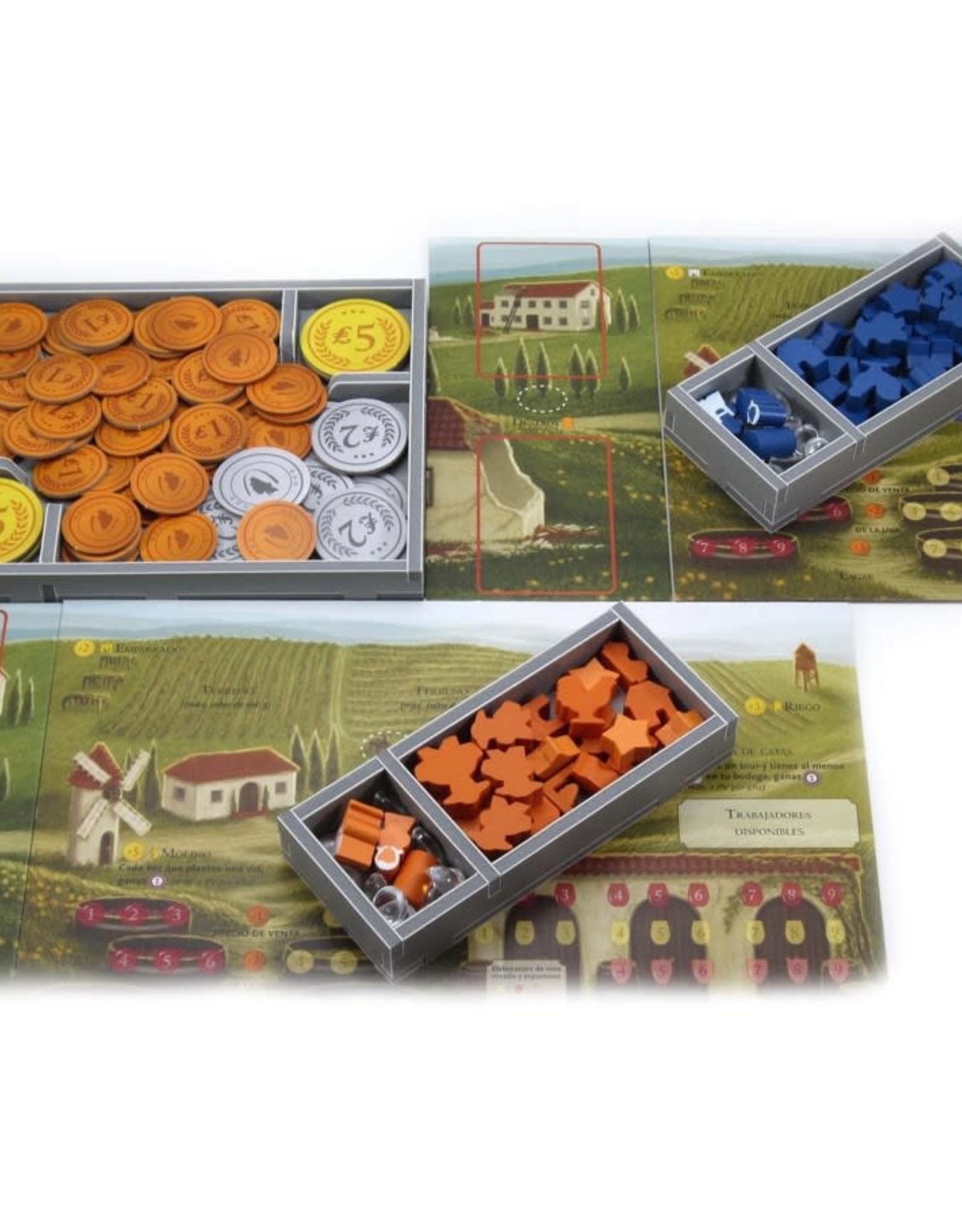 Folded Space Box Insert: Viticulture and Expansions
