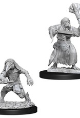 Wizkids D&D Unpainted Minis: Kenku Adventurers