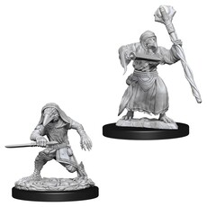 Wizkids D&D Unpainted Minis: Kenku Adventurers