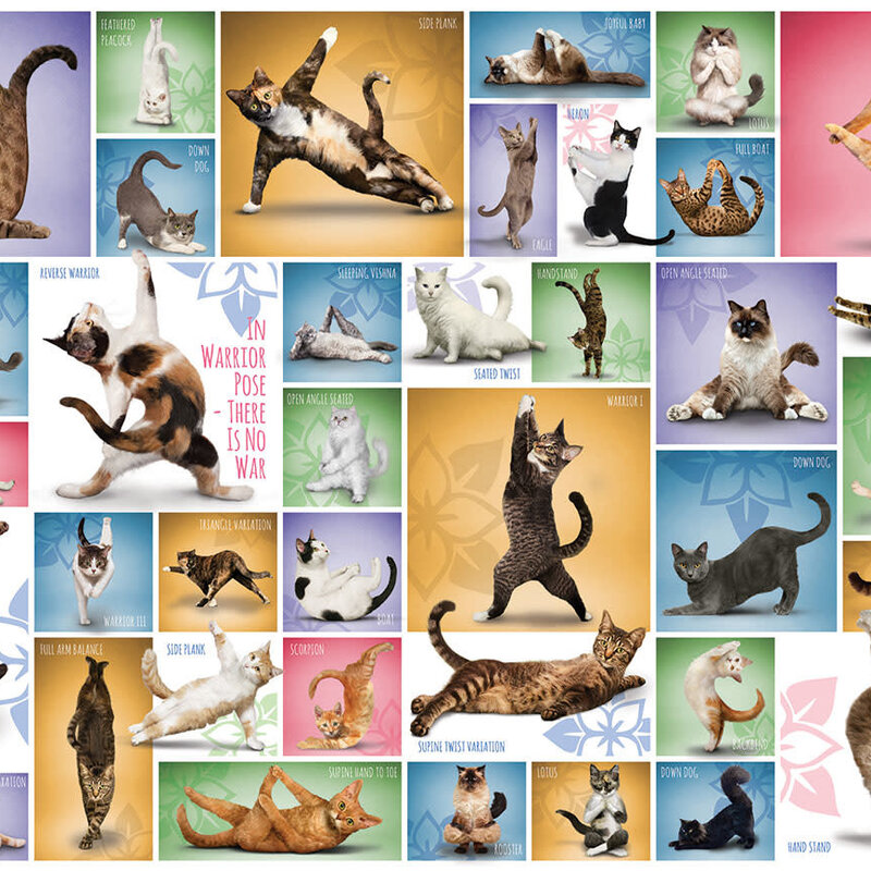 Eurographics Yoga Cats Puzzle (1000 PCS)