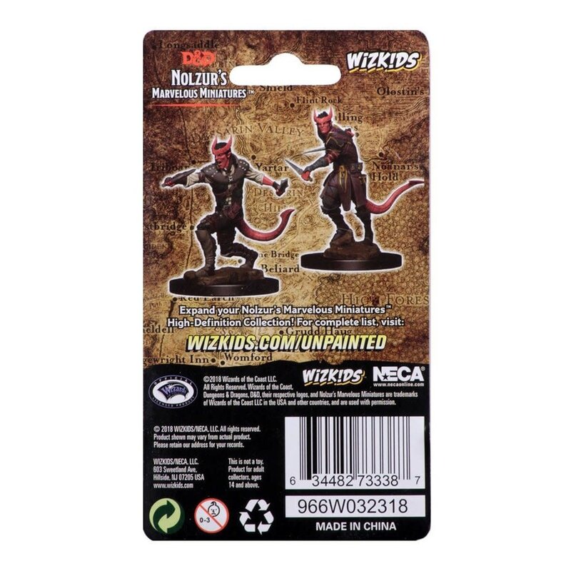 Wizkids D&D Unpainted Minis: Tiefling Rogue Male