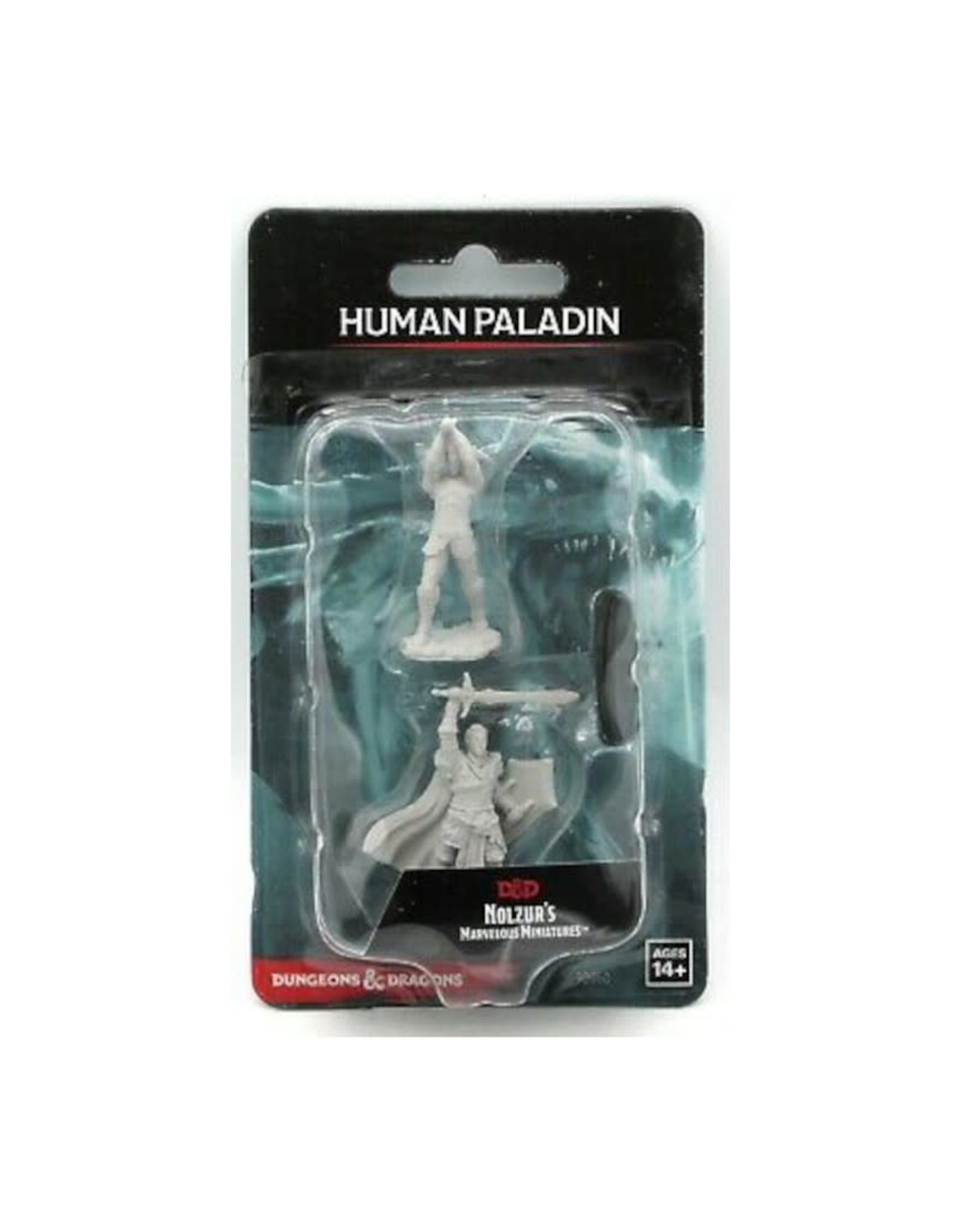 Wizkids D&D Unpainted Minis: Human Paladin Male