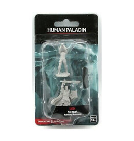 Wizkids D&D Unpainted Minis: Human Paladin Male