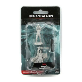 Wizkids D&D Unpainted Minis: Human Paladin Male