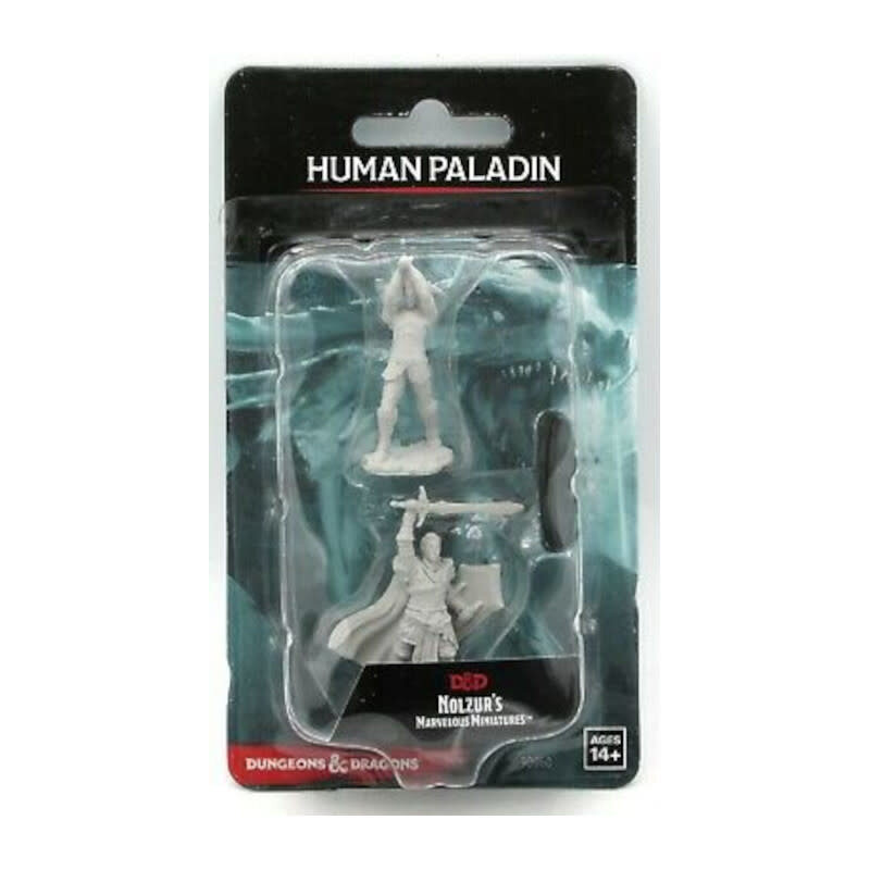 Wizkids D&D Unpainted Minis: Human Paladin Male