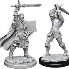 Wizkids D&D Unpainted Minis: Human Paladin Male