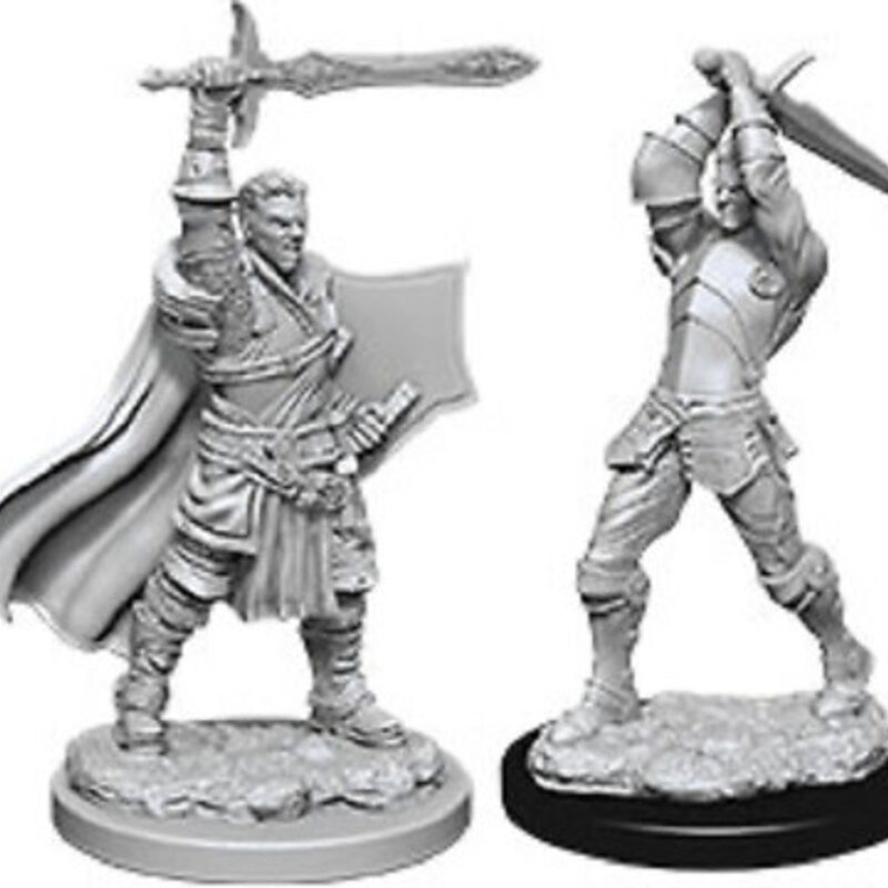 Wizkids D&D Unpainted Minis: Human Paladin Male