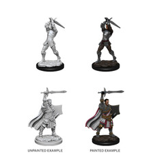 Wizkids D&D Unpainted Minis: Human Paladin Male