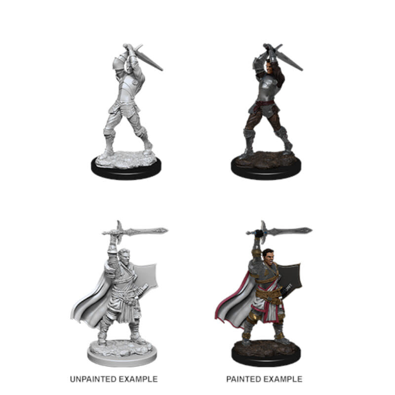 Wizkids D&D Unpainted Minis: Human Paladin Male