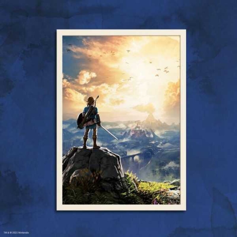 USAopoly Zelda Breath of the Wild Puzzle (1000 PCS)