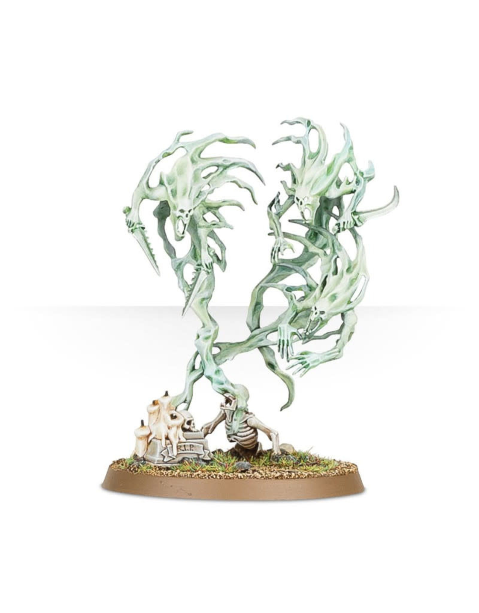 Games Workshop Warhammer Age of Sigmar Nighthaunt Spirit Hosts