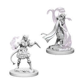 Wizkids D&D Unpainted Minis: Tiefling Sorcerer Female