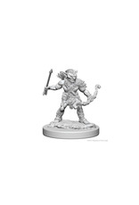 Wizkids D&D Unpainted Minis: Goblins
