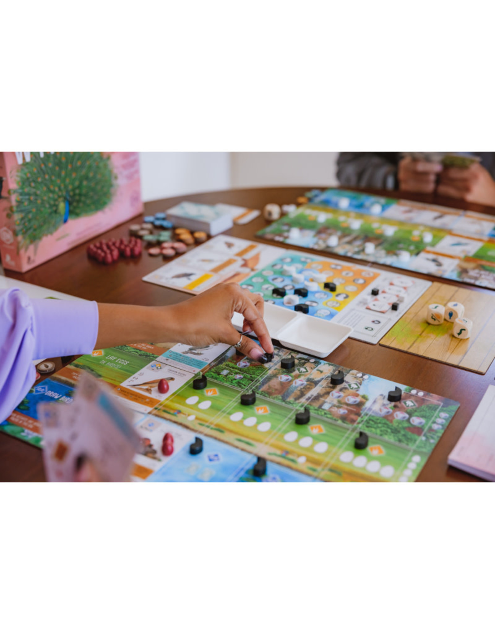 Stonemaier Games Wingspan Asia Expansion