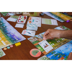 Stonemaier Games Wingspan Asia Expansion