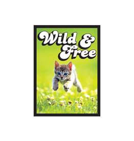 Legion Supplies Sleeves: Legion Matte (50) Kitten Wild and Free